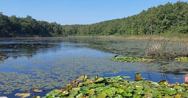 40. İğneada Longoz Ormanları Millî Parkı