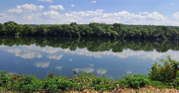 Dniestr Nehri