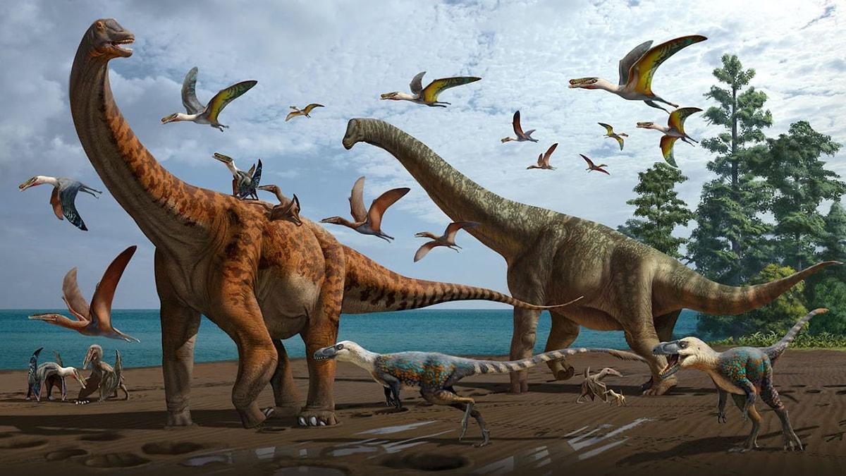 Büyük boyutlu dinozorların uzun ömürlü olması beklenirken onların da yaşam süreleri oldukça kısa.