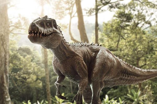 Dinozorların günümüzde yaşayan hayvanlara göre yaşam sürelerinin kısa olmasının nedeni henüz tam olarak bilinmiyor. Araştırmalara göre, metabolizma ve üreme şekli bu konuda rol oynamış olabilir.