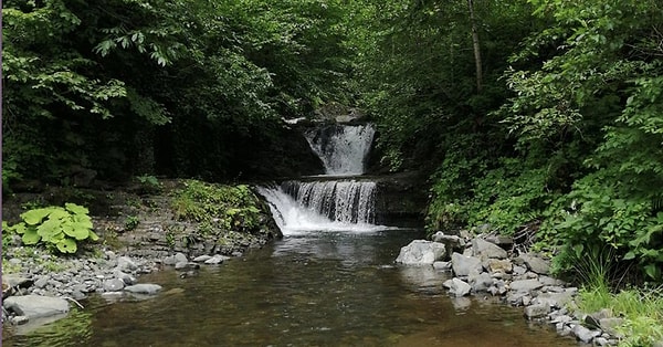 8. Maral Köyü – Artvin