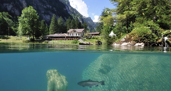 14. Blausee