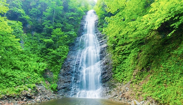 1. Bulut Şelalesi - Rize
