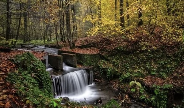 11. Maşukiye - Kocaeli