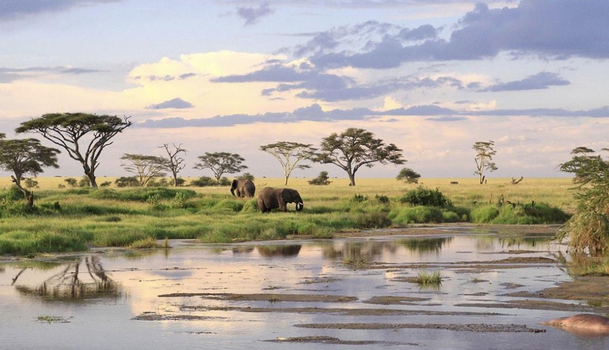 4. Serengeti, Tanzanya