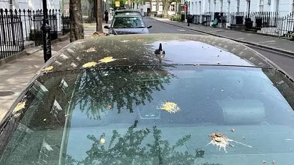 Eğer kuş pisliği henüz arabanıza yeni gelmişse, çıkması nispeten kolaydır. Yumuşak bir bezle yavaşça arabanızdan çıkarabilirsiniz. Yine de bunu yaparken diğer alanlara dağıtmamaya özen gösterin.